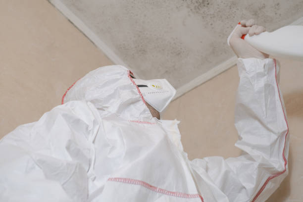 Best Residential Mold Removal  in Vidor, TX